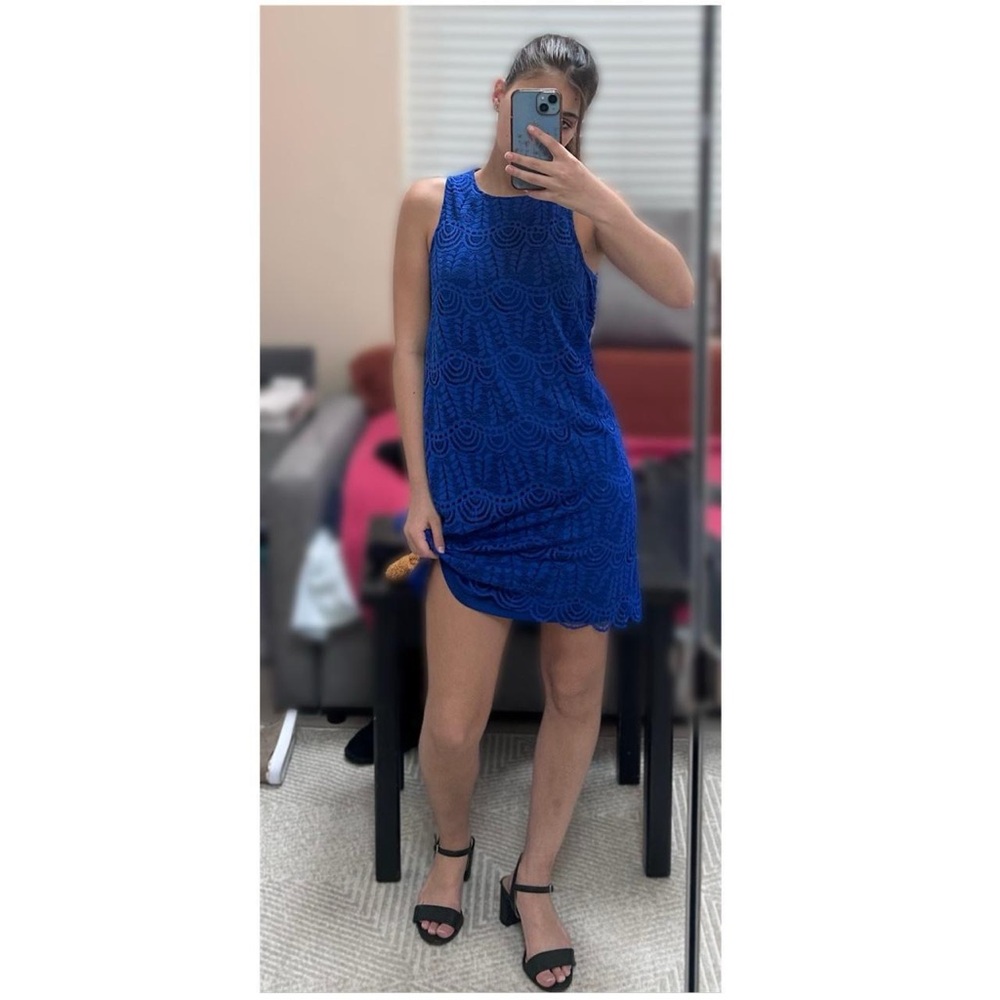 Sharagano Sapphire Blue Lace Halter Dress NWT